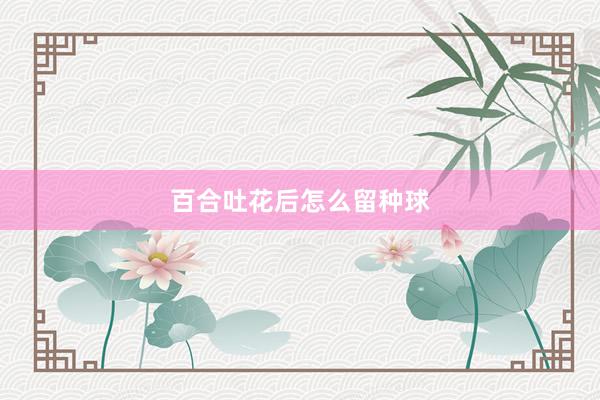 百合吐花后怎么留种球